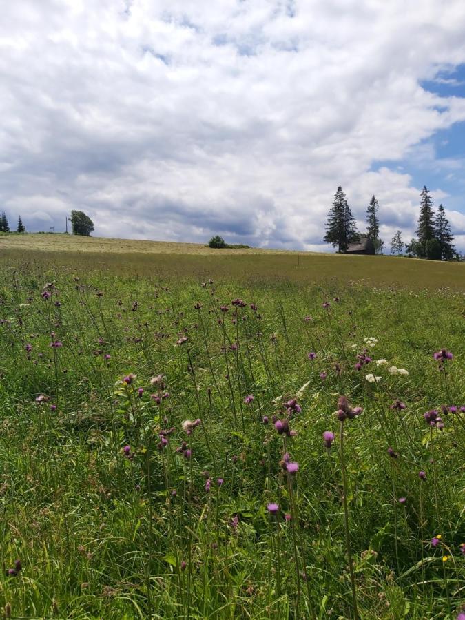 Vila Przy Lesie Tatranská Bukovina Exteriér fotografie