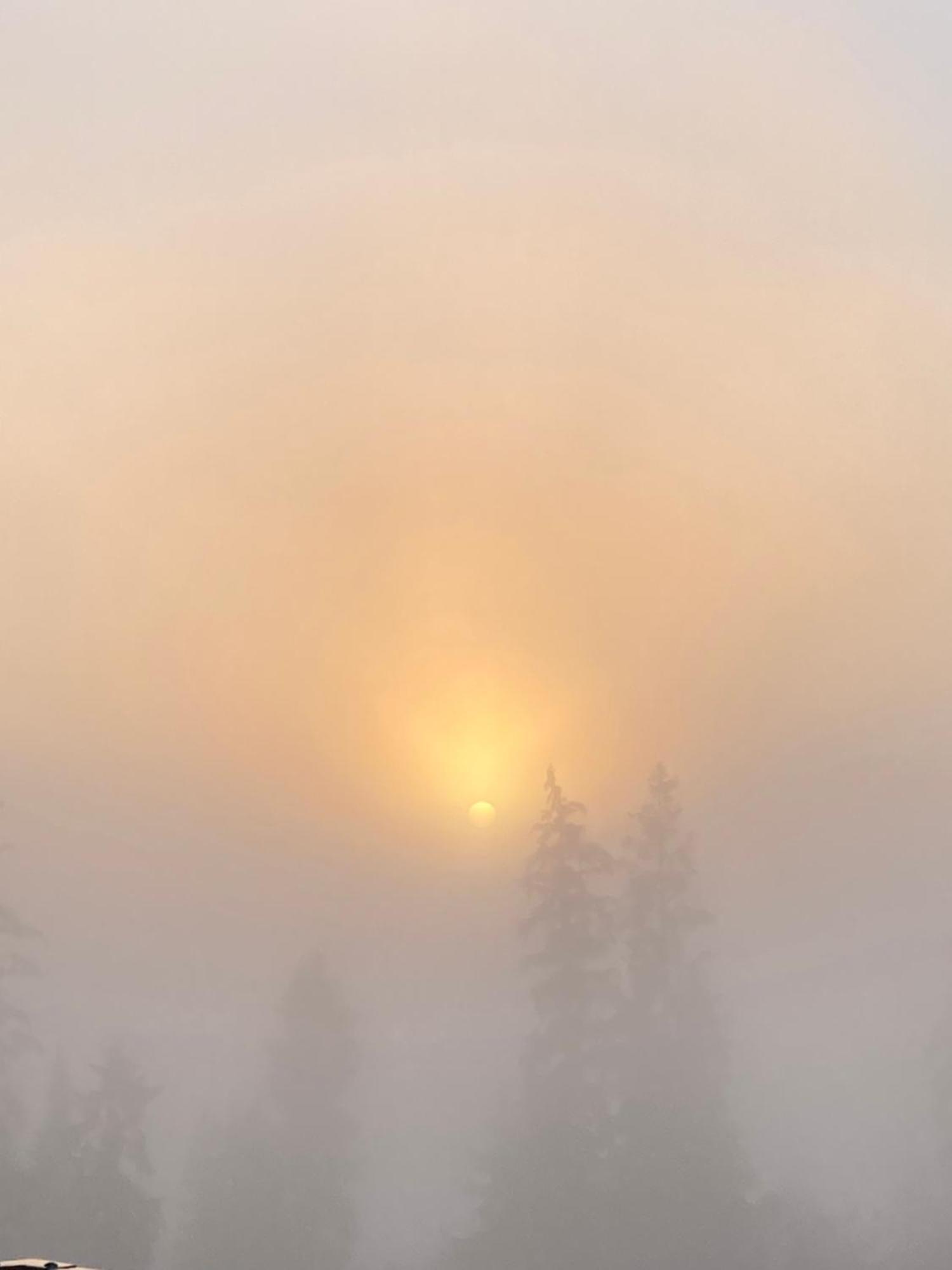 Vila Przy Lesie Tatranská Bukovina Exteriér fotografie